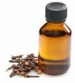 Clove Oleoresin