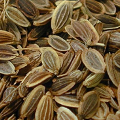 Dill Seeds