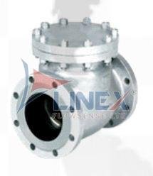Steam Check Valve