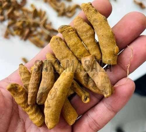 Pragati Turmeric Finger