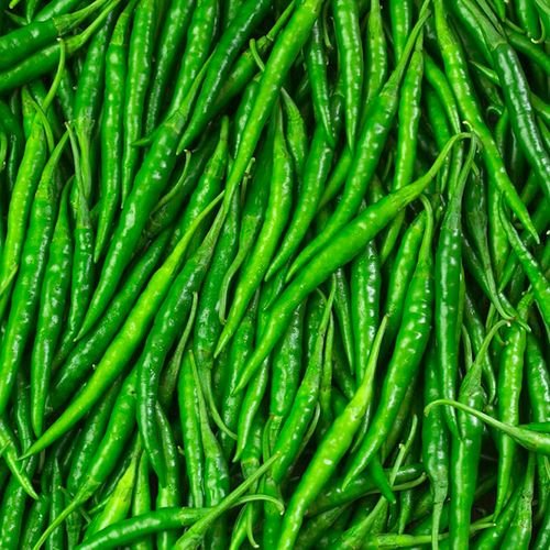 G4 Fresh Green Chili