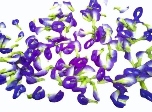 Freeze Dried Butterfly Pea Flower