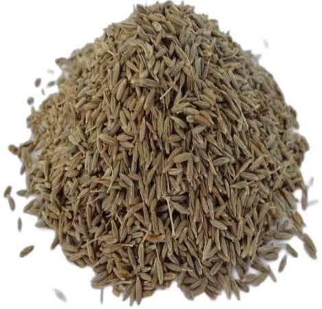 Europe Quality Cumin Seeds