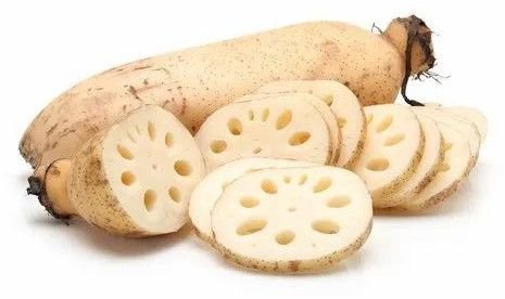 A Grade Fresh Lotus Stem