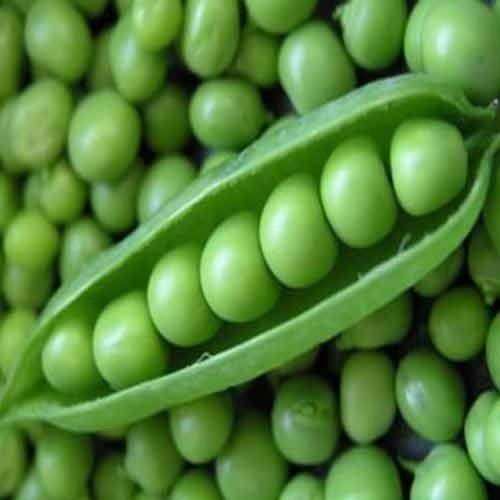 Beans & Peas
