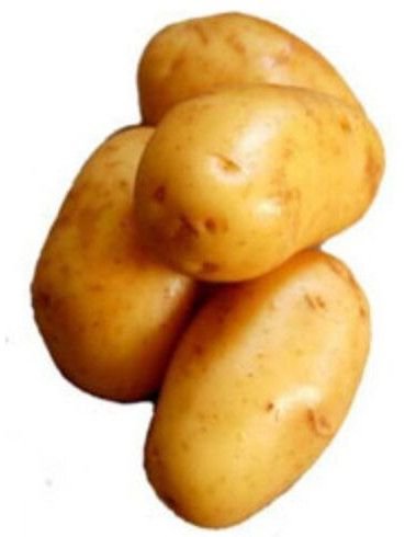 Farm Fresh Kufri Pukhraj Potato