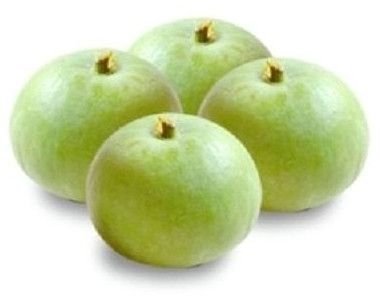 Farm Fresh Round Gourd