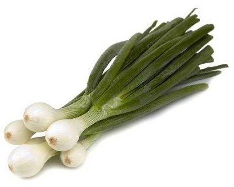 Fresh Onion Varieties
