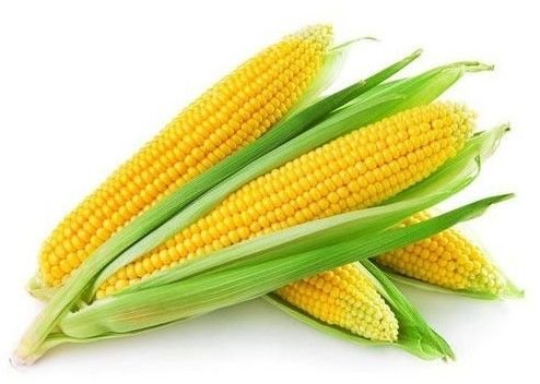 Corn & Mushrooms