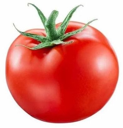 Fresh Beefsteak Tomato