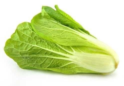 Fresh Romaine Lettuce