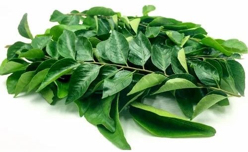 Natural Curry Leaves
