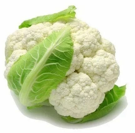 Premium White Cauliflower