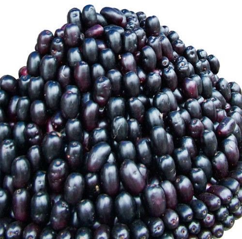 Fresh Jamun