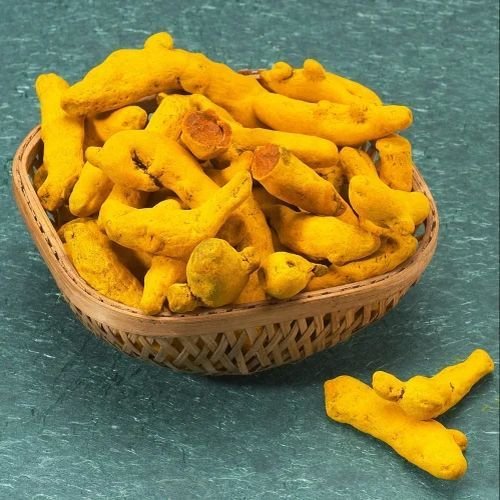 Erode Turmeric Finger