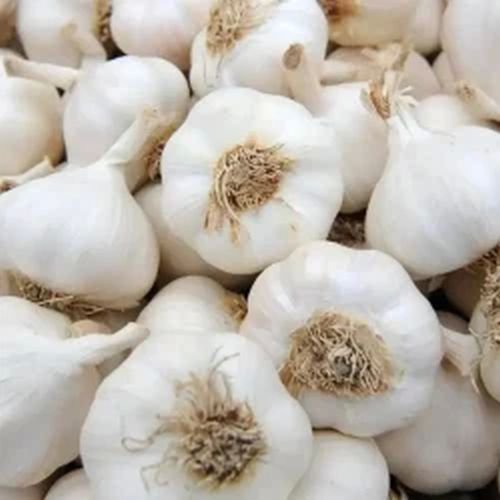 Fresh Raw Garlic