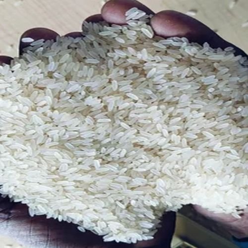 IR64 Raw 5% Broken Rice