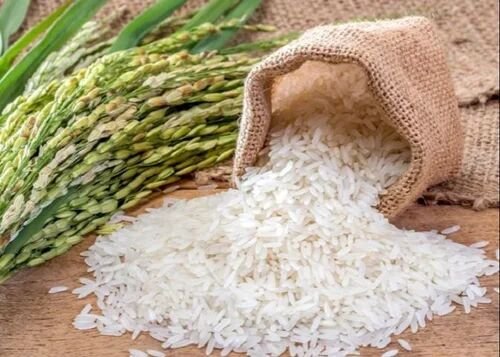 Broken Rice