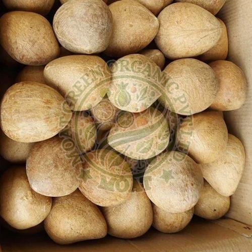 Dried Coconut