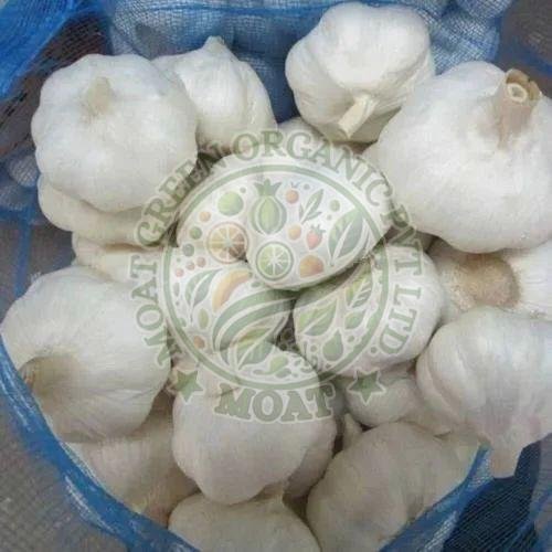 Fresh Chinese Garlic