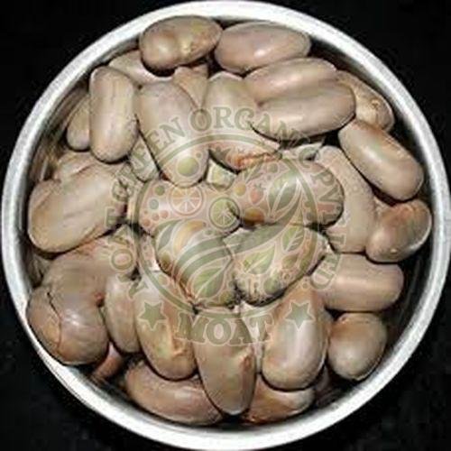 Jackfruit Seeds