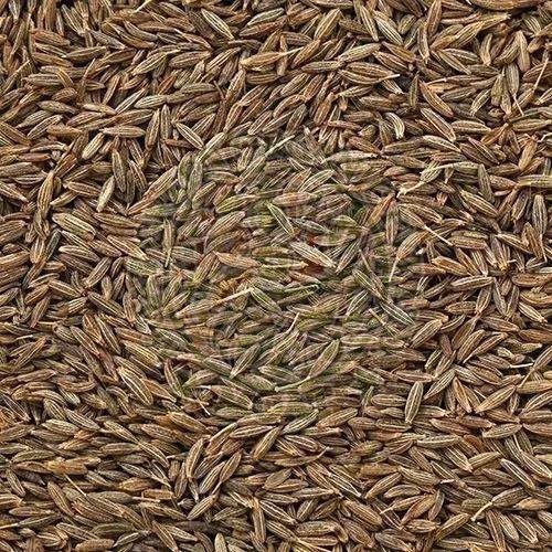 Shahi Cumin Seeds