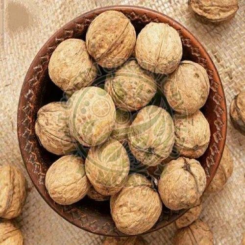 Shelled Walnuts