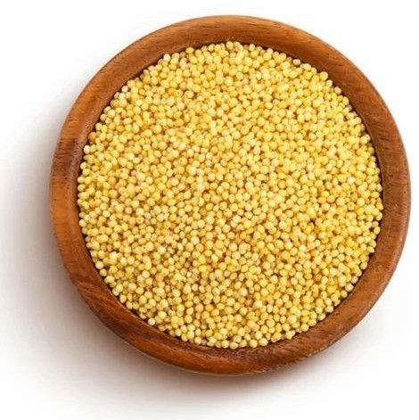 Premium Proso Millet