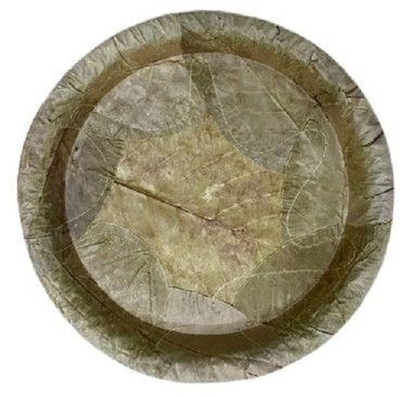 10 Inch Disposable Sal Leaf Plate
