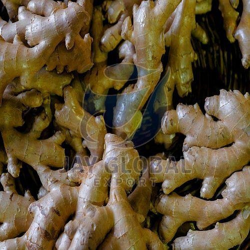 A Grade Fresh Ginger