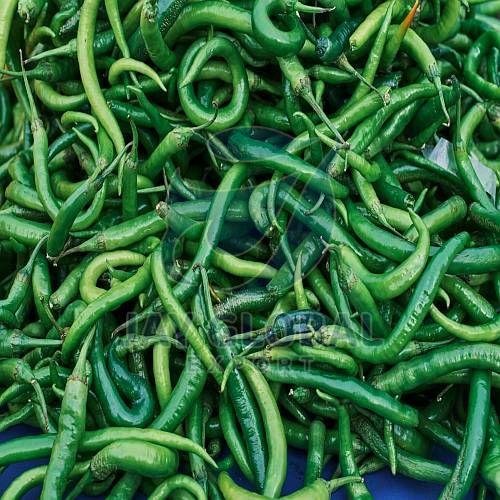 Fresh Green Chilli