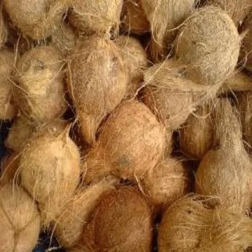 Semi Husked Coconut