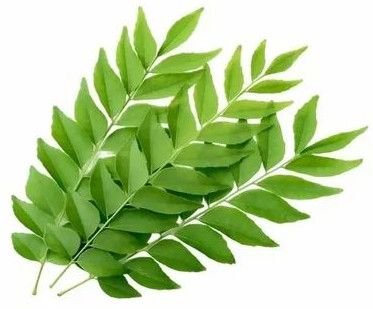 Herbs & Superfoods