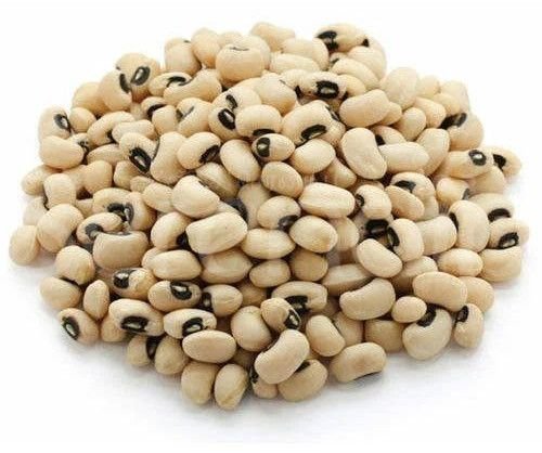 Organic Cowpea Seeds