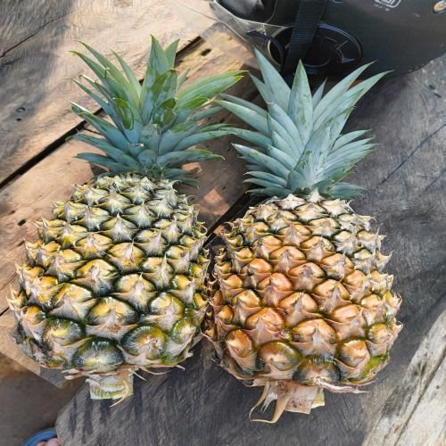 Fresh Pineapples