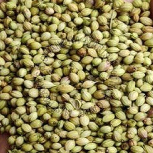 Coriander Seeds