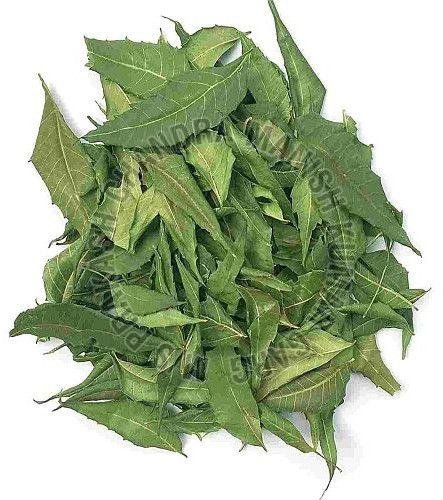Dried Neem Leaves