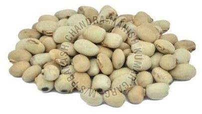 Kaunch Seeds