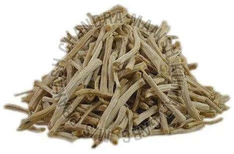 White Shatavari Root