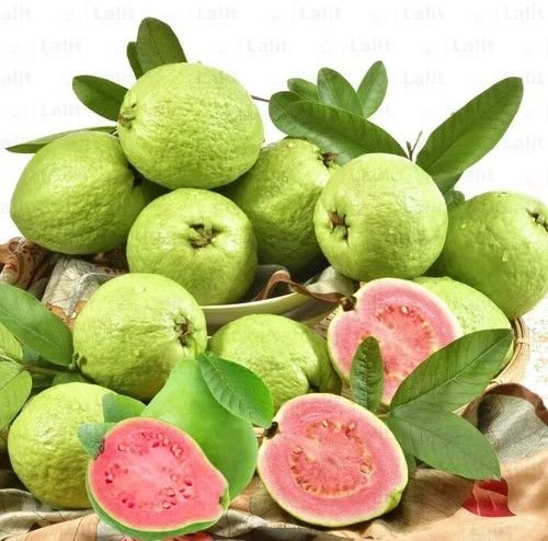 Red Diamond Guava