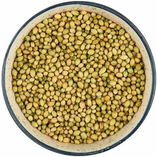 Double Parrot Coriander Seed