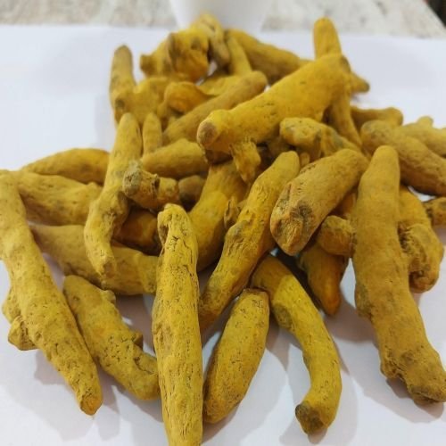 IPM Turmeric Finger