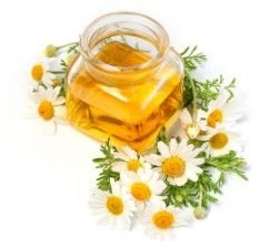 Chamomile Oil