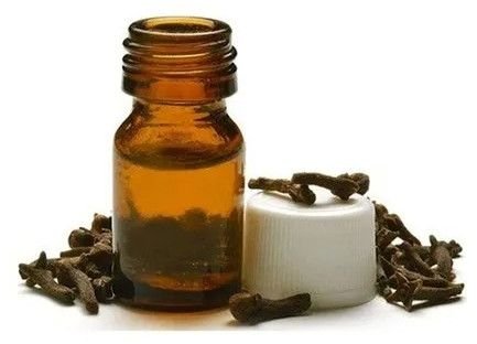 Clove Oil
