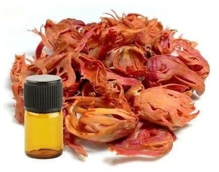 Mace Oil