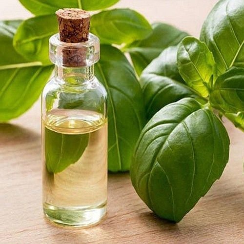 Mixed Basil Oil