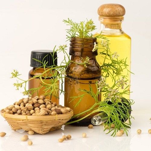 Natural Coriander Seed Oil