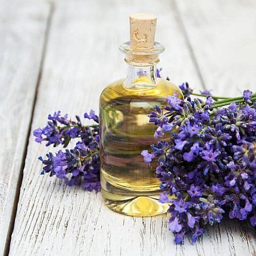 Natural Lavender Essential Oil