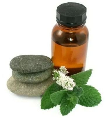 Peppermint Oil