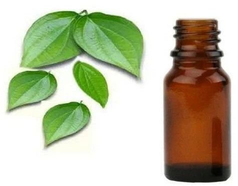 Pure Betel Leaf Oil